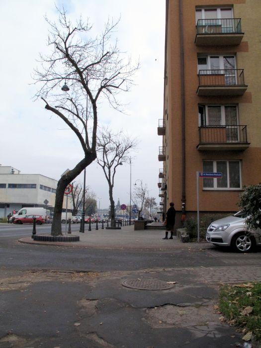 fot. Aneta Abramowicz - fot. 