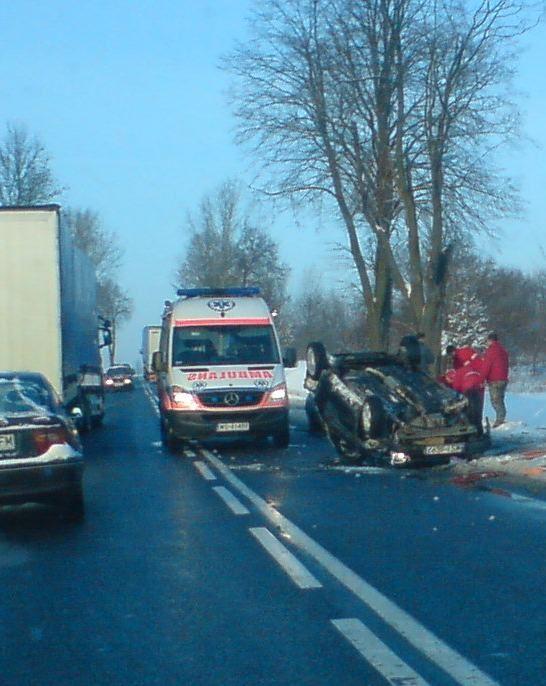 fot. Internauta - fot. 