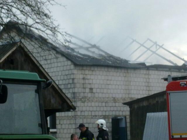 fot. Internauta - fot. 