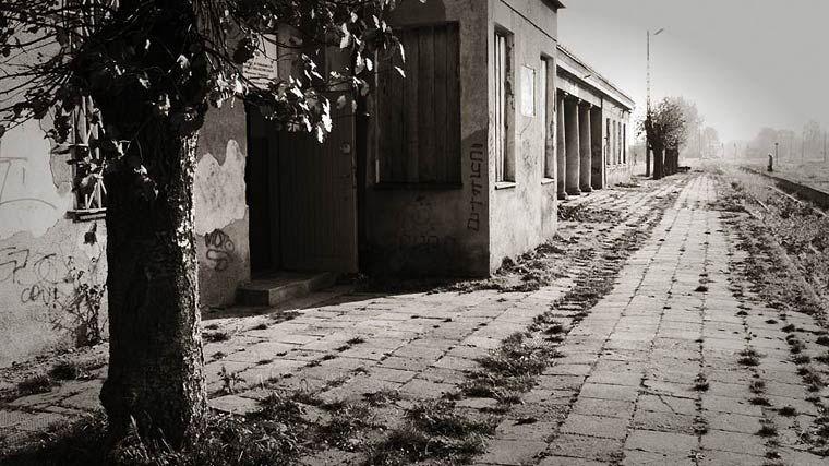fot. Michał Kurc - fot. 