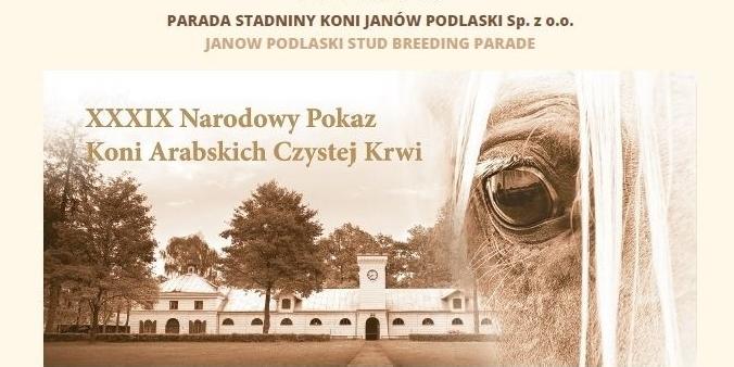 plakat - fot. 