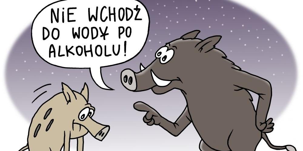 rys. M. Andrzejewski - fot. 