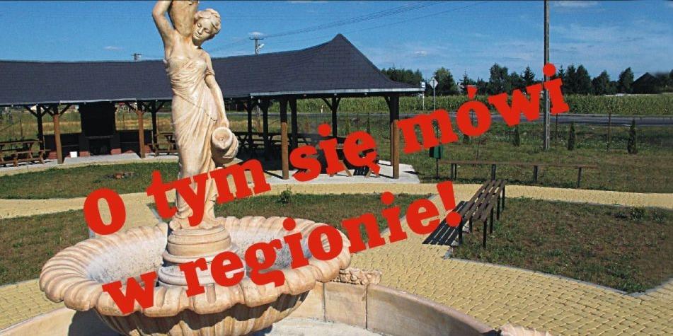 Teren rekreacyjny w Dębowicy w gminie Trzebieszów. Fot. PGL - fot. 