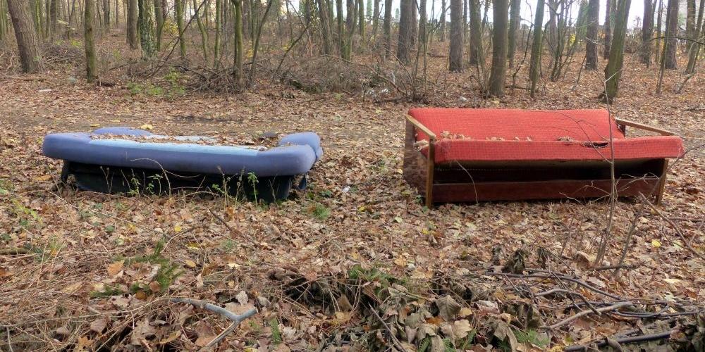 Łóżka w lesie tuż przy cmentarzu parafialnym w Opolu Nowym, fot. Ana