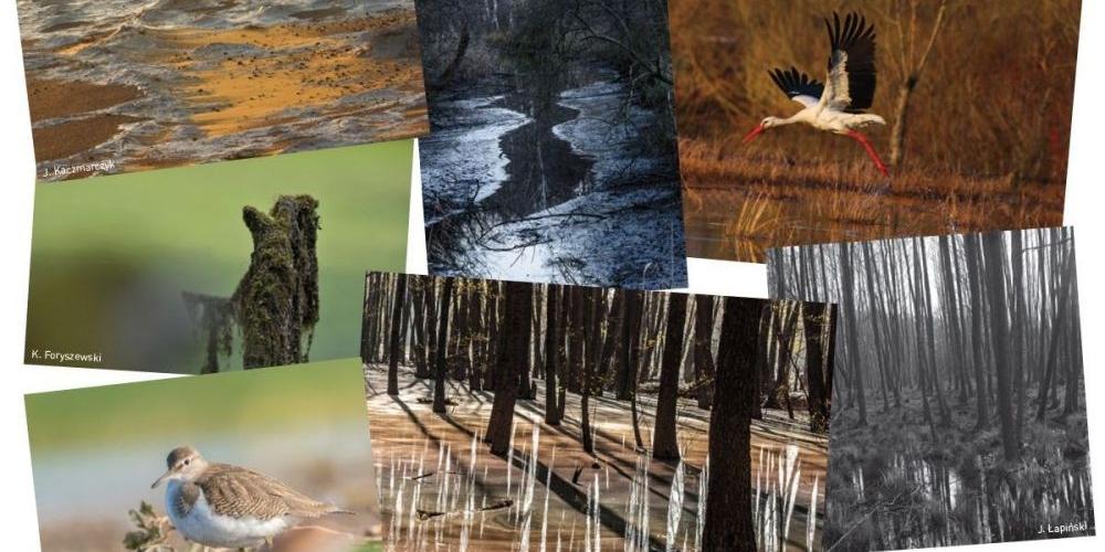 Fragment katalogu wystawy - fot. katalog wystawy