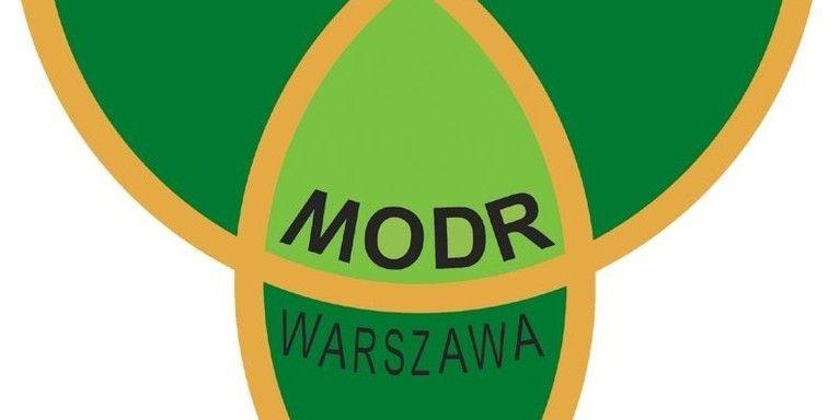 logo MODR - fot. fot. arch