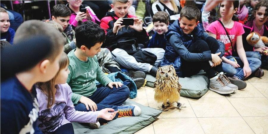Puchacz „Frugo” wśród młodej publiczności. Fot. P. Przeździak - fot. 