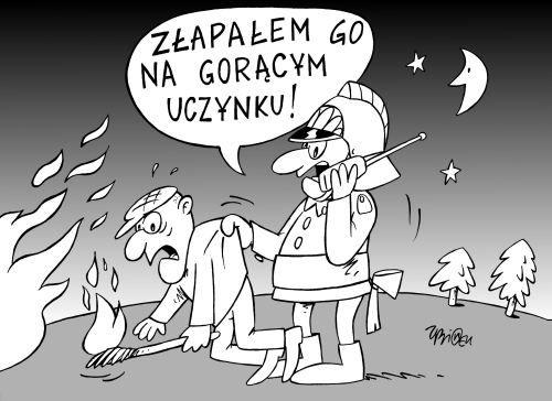  - fot. 