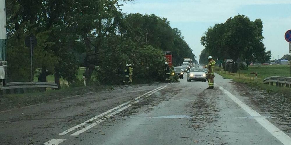 trasa na Terespol - zdjęcie dzięki uprzejmości internauty Adama - fot. 