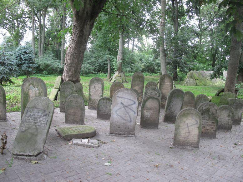 Łosicki kirkut. Zdjęcie wykonane 18 sierpnia. - fot. 