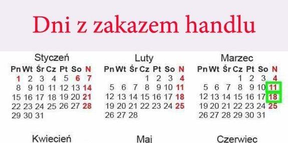 fot. Aga Król