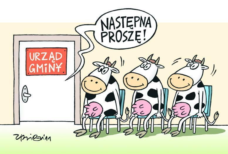 rys. Mirosław Andrzejewski - fot. 