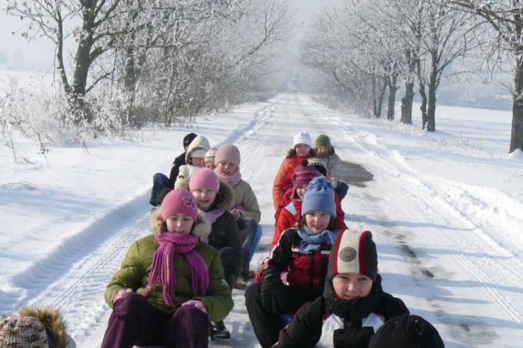 Fot. Sławomir Tomaszewski - fot. 