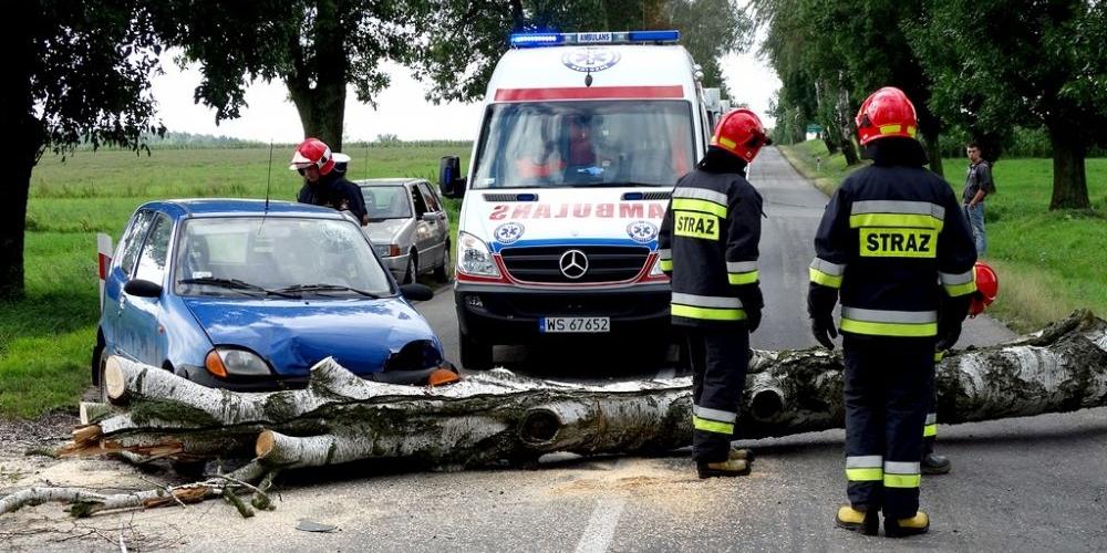 Zwalone drzewo na DK 63. Fot. KPP Sokołów Podlaski - fot. 