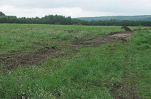 Na tym polu planowana jest budowa kurników. Około 800 metrów dalej jest uroczy,
dobrze znany most przez Liwiec i miejsce widokowe na meandrującą wśród zieleni rzekę. Dalej - Dom Dziecka i punkt, skąd turyści wyruszają coraz liczniej na spływy kajakowe. - fot. 