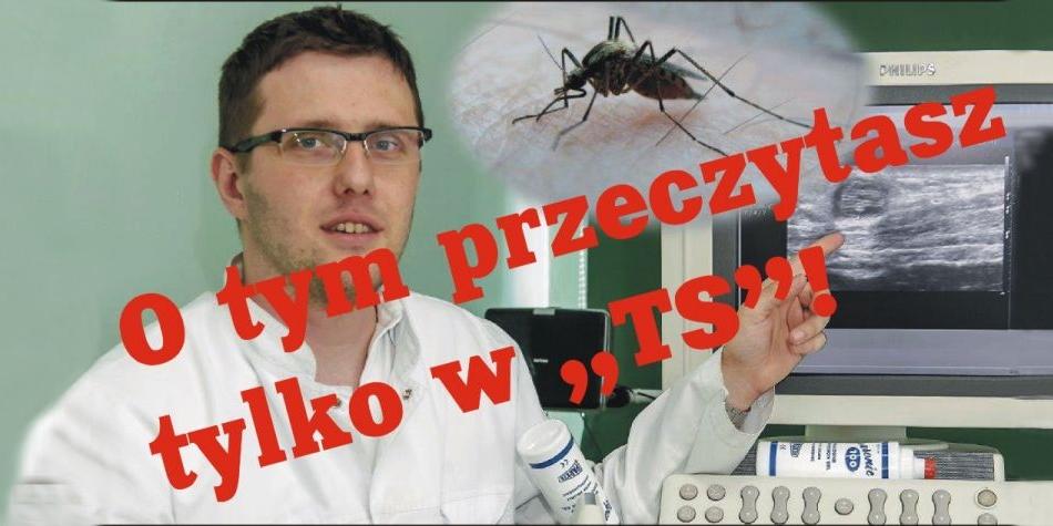 Pasożyt ma 20 cm, przypomina trochę rozgotowaną nitkę makaronu. Wyciągnięto go operacyjnie spod skóry pacjentki z powiatu siedleckiego. To dirofilaria repens. Fot. J. Mazurek - fot. 