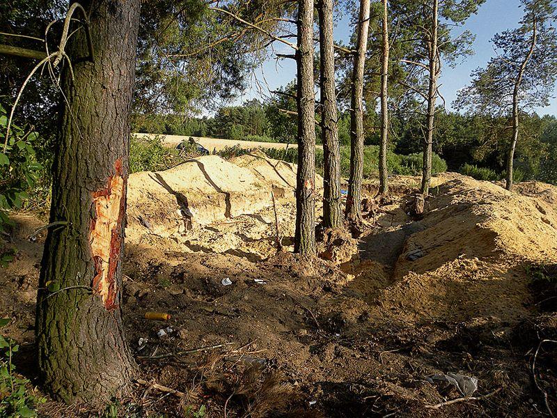 W tym roku archeolodzy przebadali kilkaset metrów kwadratowych stanowiska pod Jartyporami.   - fot. 