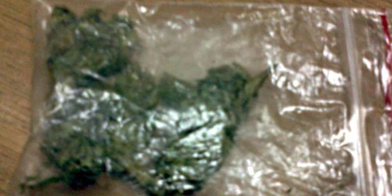 Marihuana znaleziona przez policjantów u jednego z mężczyzn. Fot. Arch. KPP w Węgrowie - fot. 
