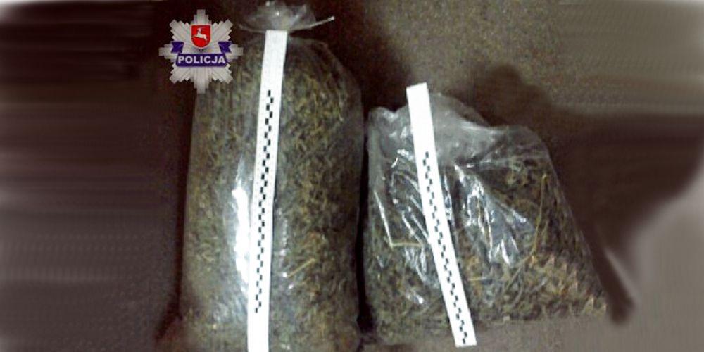 Marihuana znaleziona przez policjantów w jednej z miejscowości gminy Stanin w powiecie łukowskim. Fot. Arch. KPP w Łukowie - fot. Arch. KPP w Łukowie