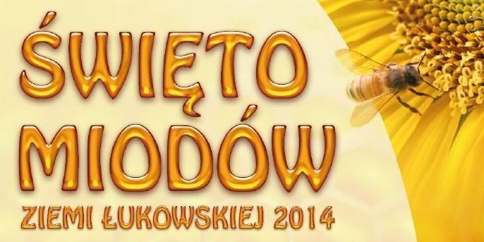 Z plakatu organizatorów - fot. 