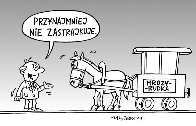 rys. M. Andrzejewski - fot. 