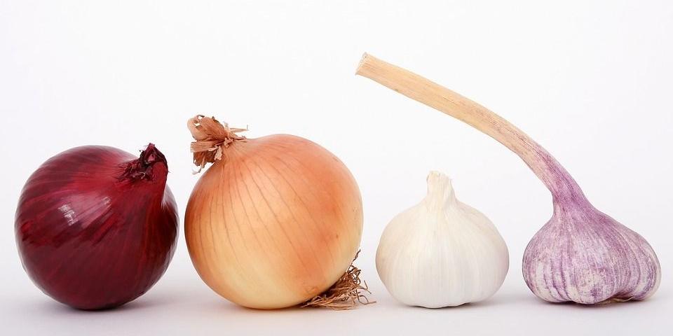 Nieprzyjemny zapach w pomieszczeniu lub aucie? Pozbądź się go dzięki ozonowaniu - fot. d