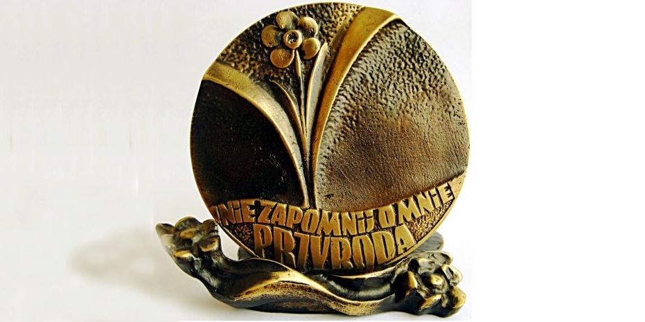 Tak wygląda Medal Polskiej Niezapominajki... - fot. 