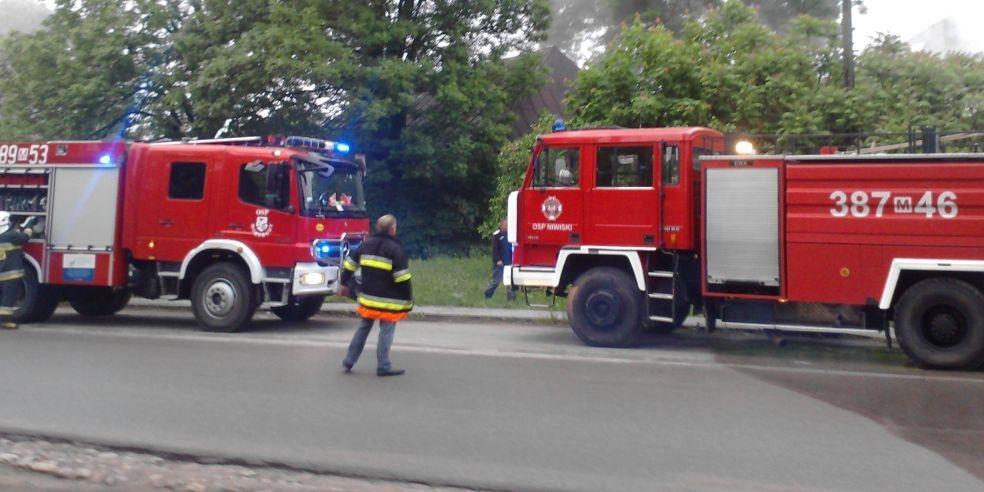 fot. internautka Anna - fot. 
