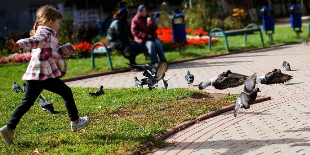 Rada Miasta zrobiła coś dla dzieci - place zabaw w Siedlcach będą czynne cały rok! Fot. freeimages.com - fot. 