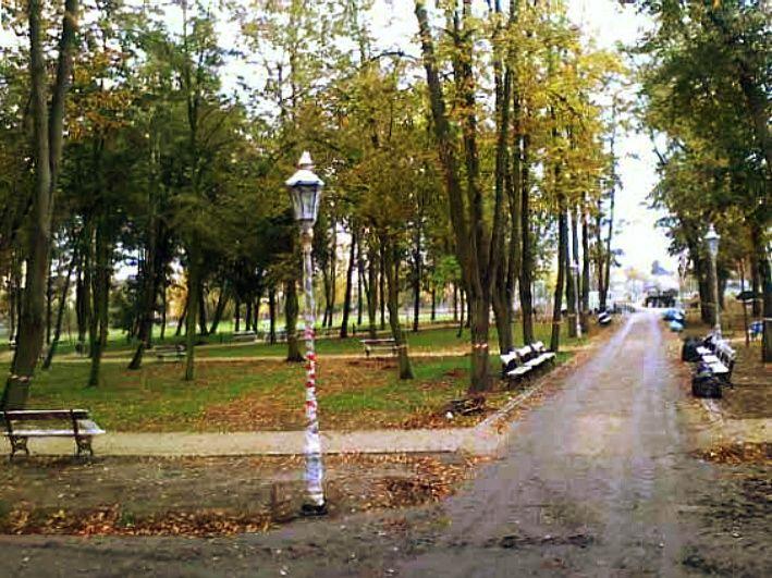 Fot. Czytelniczka z Łukowa - fot. 