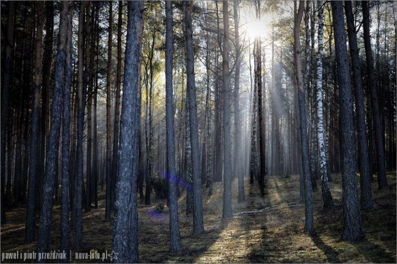 Uroki „Jaty” jesienią. Fot. Paweł Przeździak - fot. 