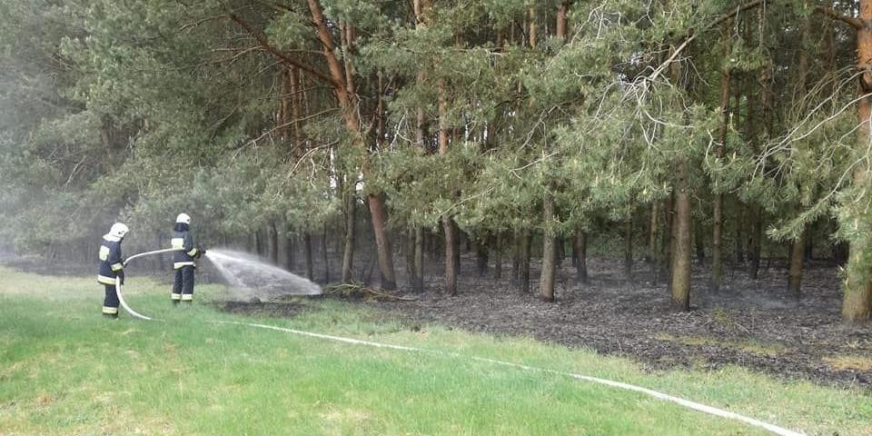 fot. OSP Radomyśl - fot. OSP Radomyśl