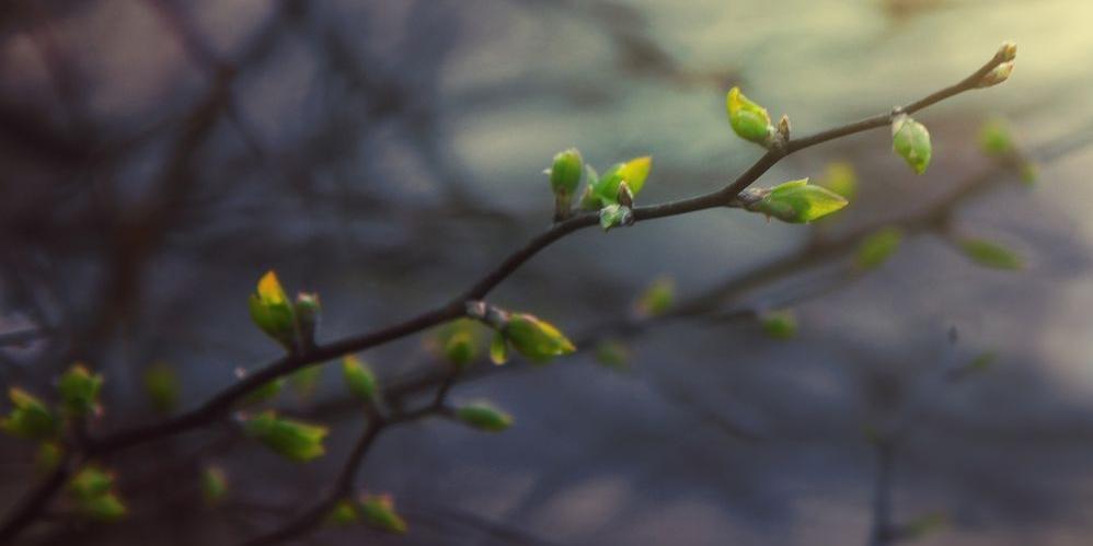 Pobudka śpiochy (fot. Monika Pachecka) - fot. 