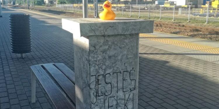 fot. Aga Król