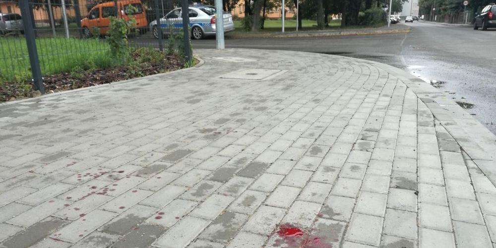 fot. Aga Król