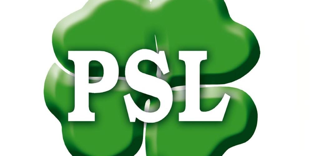 Logo PSL - fot. logo PSL