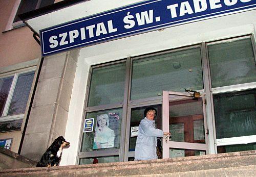 Bezdomne zwierzęta warują nawet przed głównym wejściem 
do łukowskiego szpitala. 
 - fot. 