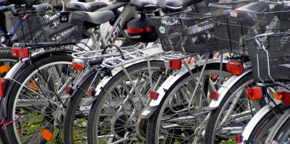 Siedlce w „Tygodniu Zrównoważonego Transportu”. Fot. freeimages.com - fot. 