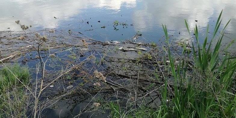 fot Samochody Ratowicze FB - fot. Samochody Ratownicze fb