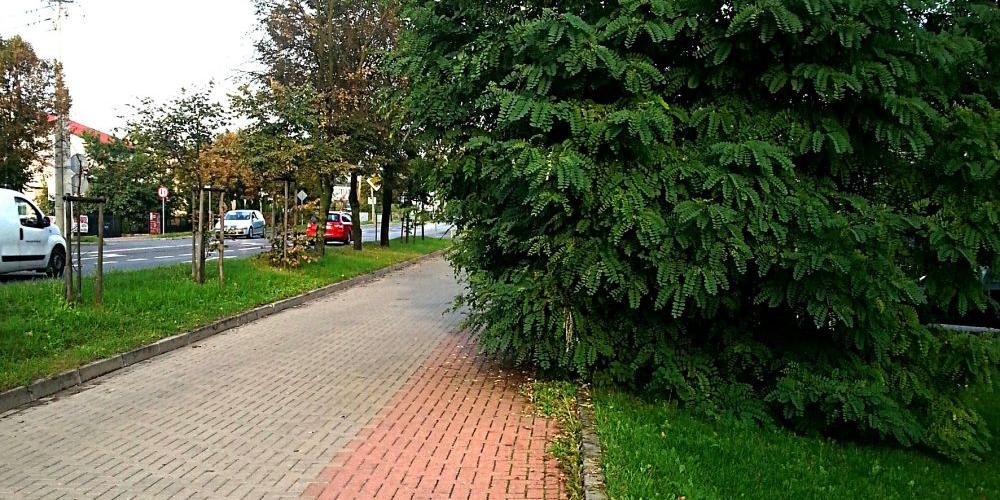 Tak wygląda jedna ze ścieżek rowerowych w mieście przyjaznym rowerzystom. Fot Czytelnik - fot. 