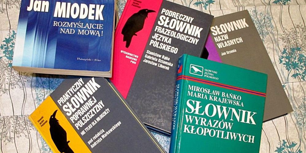 Tutaj takie słowniki niewiele mogą pomóc... Fot. PGL