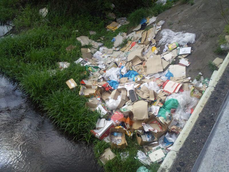 Fot. M. Radzikowski - fot. 
