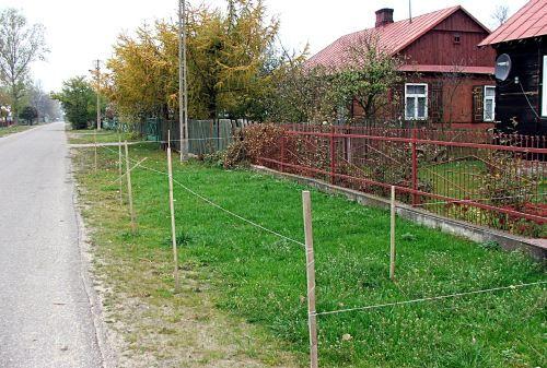 - Ci spośród mieszkańców Sięciaszki Drugiej, którzy założyli przed 
domami nowe trawniki, ogrodzili je widocznymi na zdjęciu prowizorycznymi „płotkami”. Przechodzące w pobliży krowy, bojąc się, że to elektryczny pastuch, nagle odskakują na jezdnię, co st - fot. 