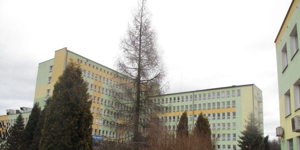 fot. arch.  - fot. 