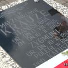 zdjęcie nr 147