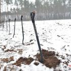 zdjęcie nr 26