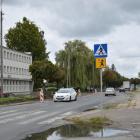 zdjęcie nr 24