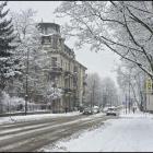 zdjęcie nr 16