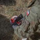 Fotka nr 3 z 13