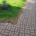 Fotka nr 2 z 4